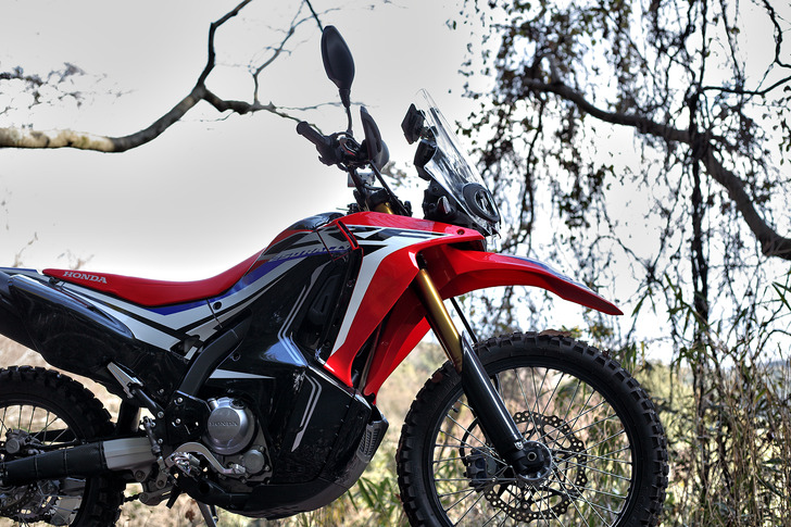 CRF250RALLY