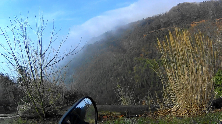 CRF250RALLY