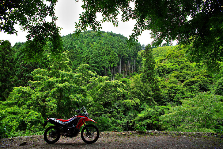CRF250RALLY