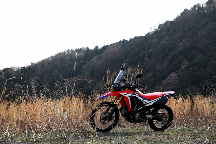 CRF250Rally