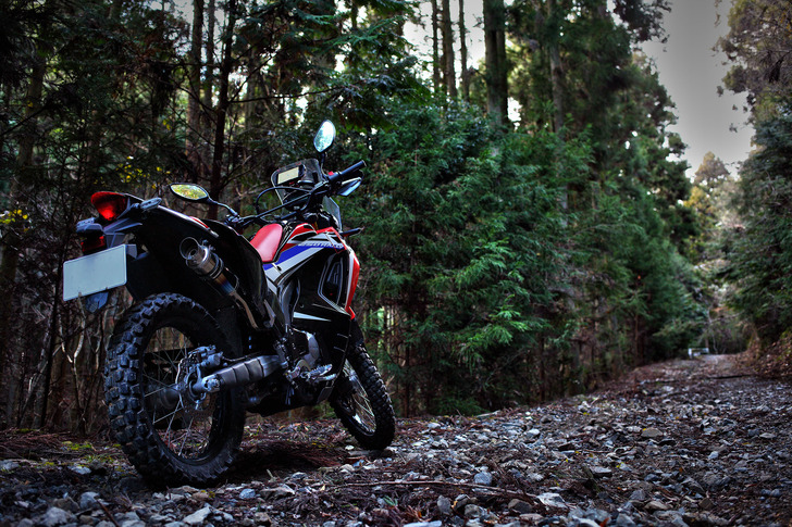 CRF250RALLY