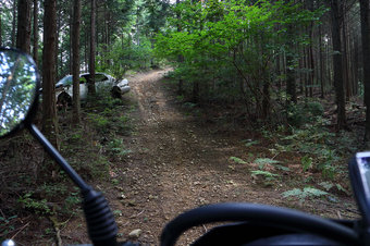 klx125-2014-10-02-02.jpg