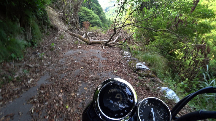 モンキー125と林道4