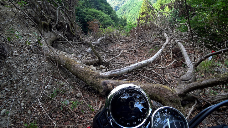 林道の土砂崩れ