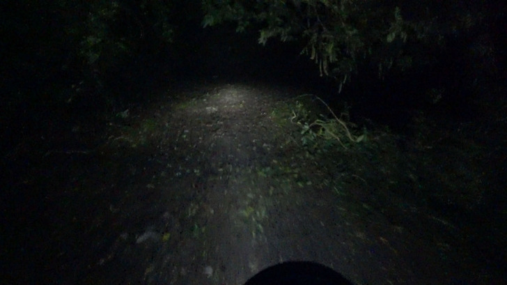 モンキー125と夜の林道