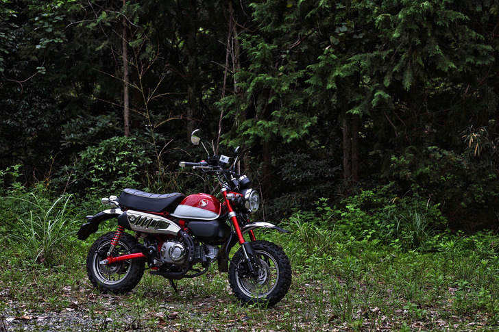 monkey125-20180925-01.jpg
