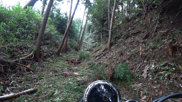 モンキー125と林道