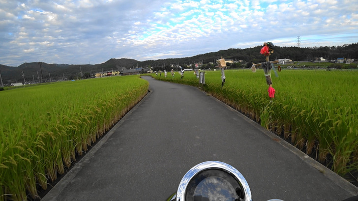 モンキー125とあぜ道