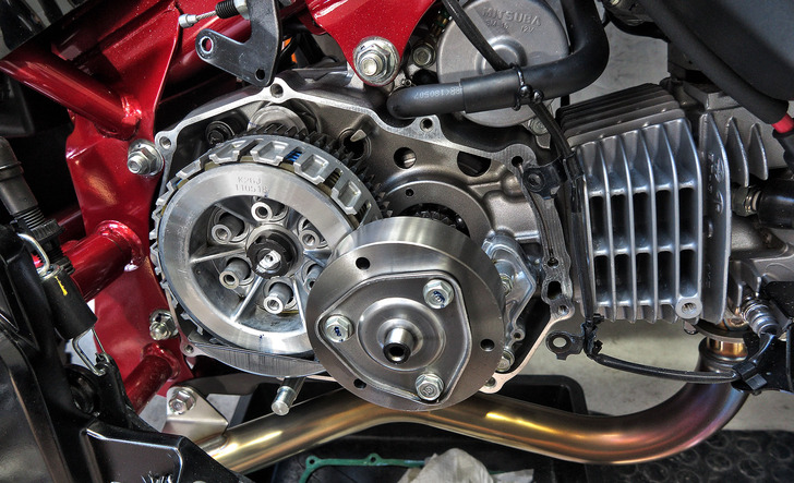 Monkey125