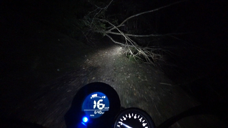 monkey125と林道