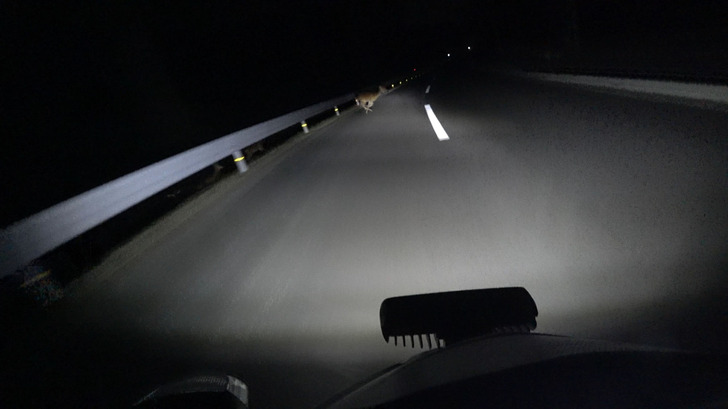 motorcycle_fog_lamp-20180824-11.jpg