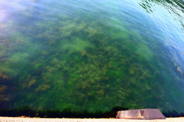 nihonkai-2014-07-28-02.jpg