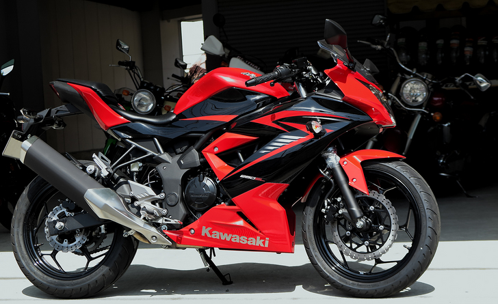 ninja250sl-2015-04-24-3.jpg