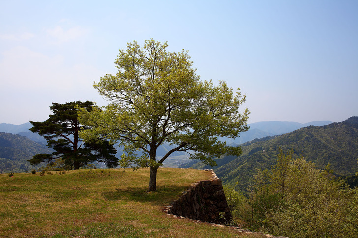 takedajyo-20170504-10.jpg