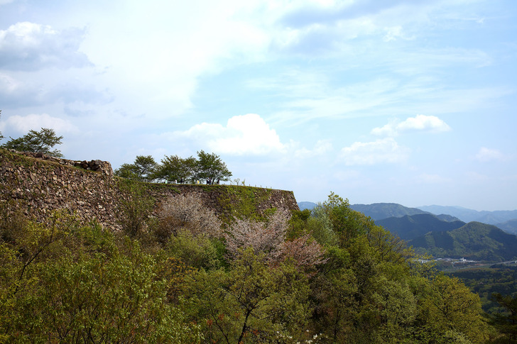 takedajyo-20170504-11.jpg