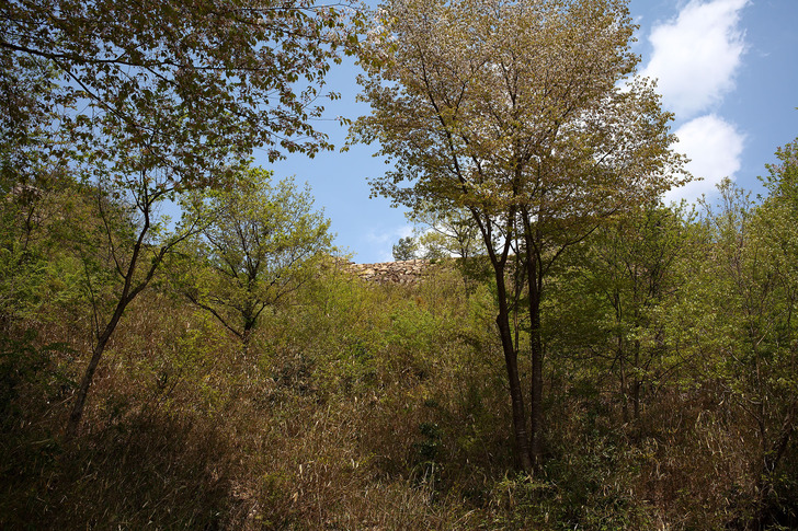 takedajyo-20170504-5.jpg