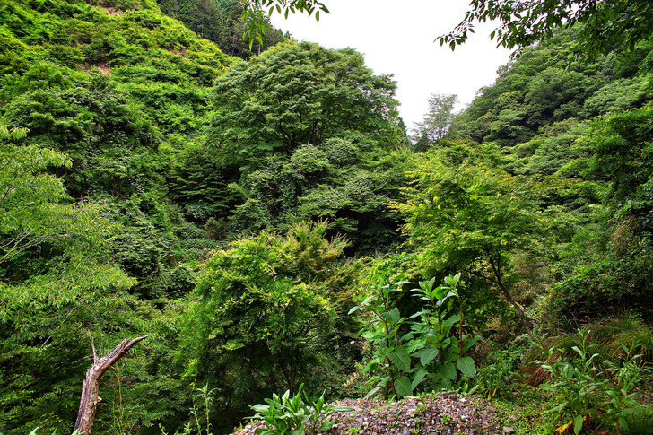 valley