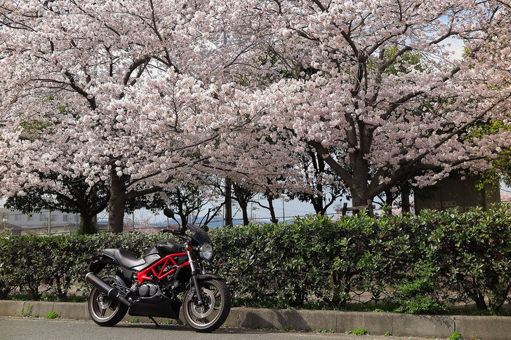 vtr250-2015-04-02.jpg