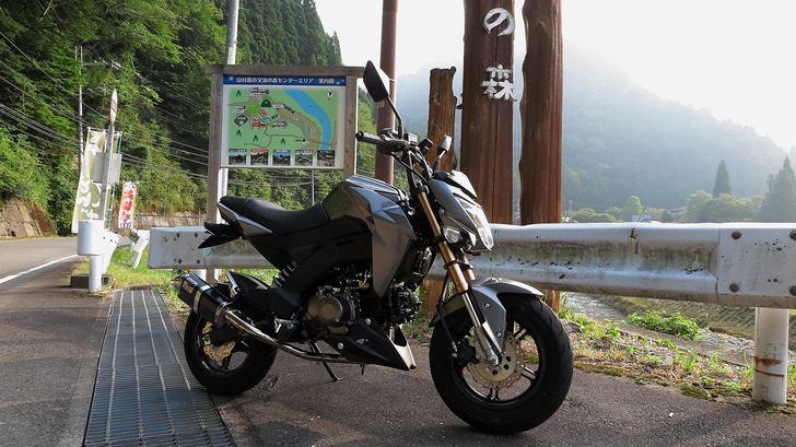 z125_pro-20160816-6.jpg