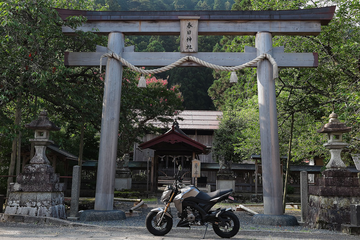 z125_pro-20160817-3.jpg