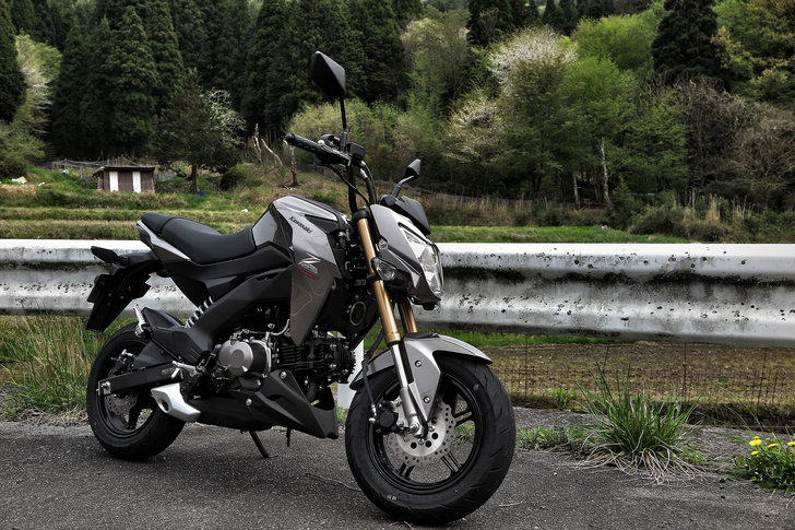 Z125_PRO