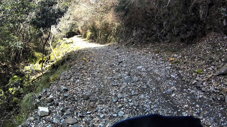 z125pro-20170403-5.jpg